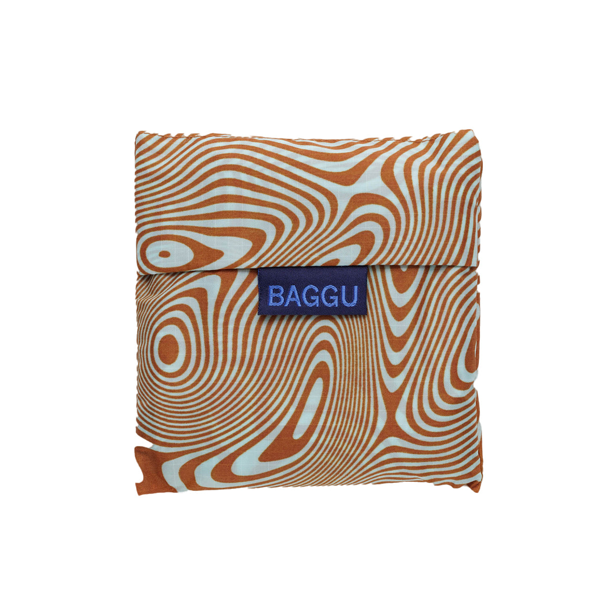 Baggu - Baggu - Standard Baggu - Trippy Swirl Pool